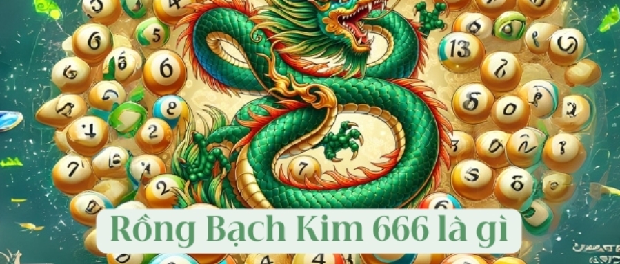 Tìm hiểu rồng bạch kim 666 là gì? 